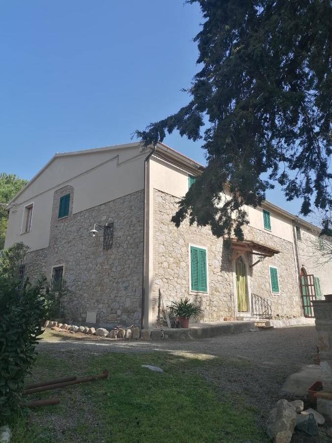 La Casa Dei Nonni Villa Chianni Eksteriør billede